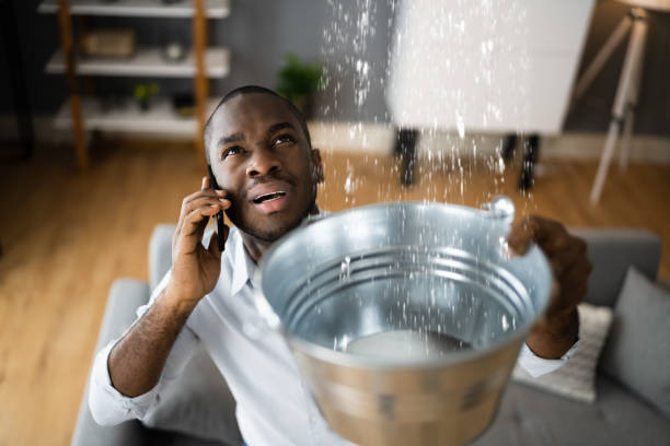 Best Carpet water damage restoration  in Lakehurst, NJ