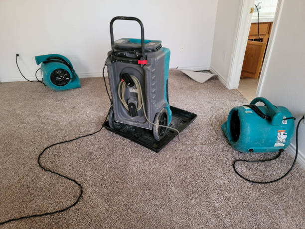 Best Water damage restoration near me  in Lakehurst, NJ