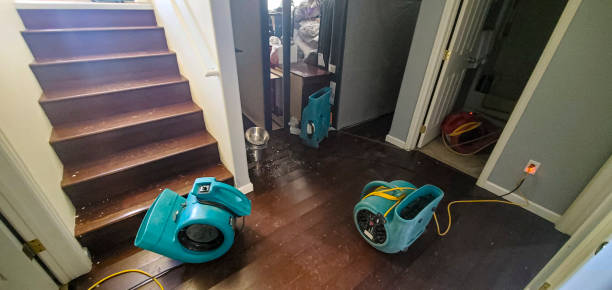 Best Commercial water damage restoration  in Lakehurst, NJ