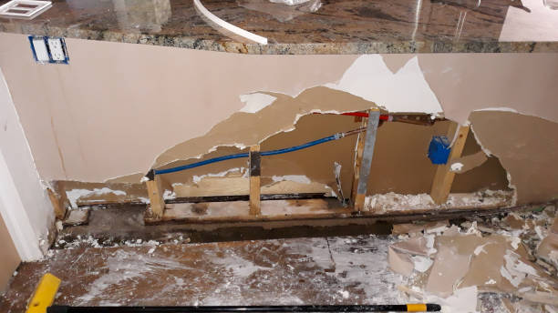 Best Ceiling water damage repair  in Lakehurst, NJ