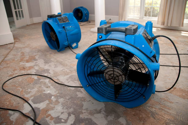 Best 24/7 water damage repair  in Lakehurst, NJ
