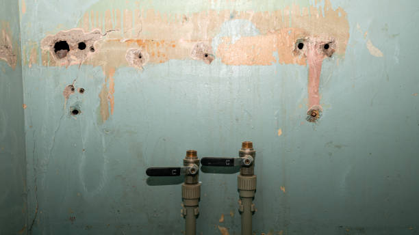 Best Professional water damage repair  in Lakehurst, NJ