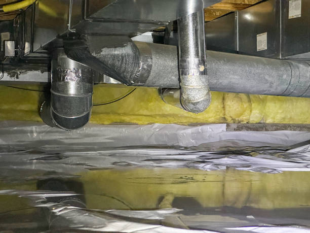 Best Residential water damage restoration  in Lakehurst, NJ