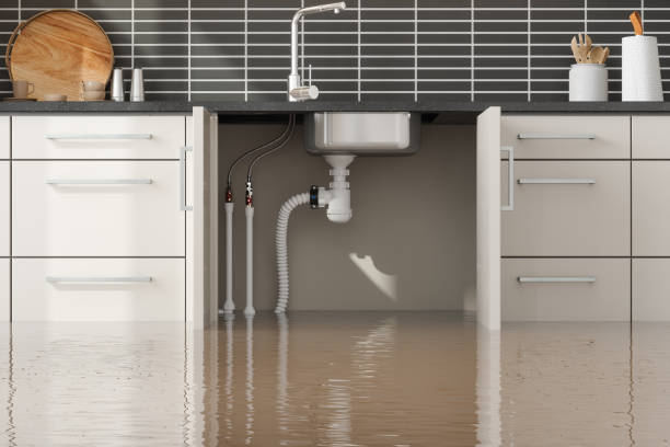 Best Water damage restoration cost  in Lakehurst, NJ