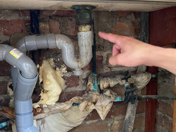 Best Water damage restoration near me  in Lakehurst, NJ