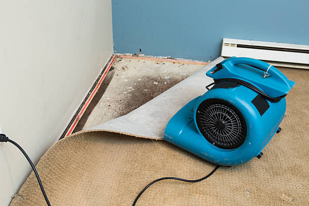 Reliable Lakehurst, NJ Water damage restoration Solutions